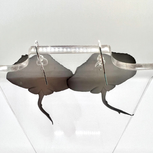 Stingray Earrings - Ocean Animal Earrings - Beach Earrings - Teacher Earrings - Picture 6 of 9